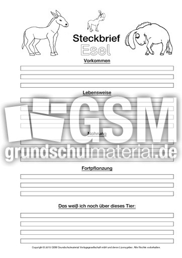 Esel-Steckbriefvorlage-sw-2.pdf